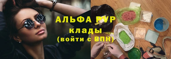 бошки Гусев