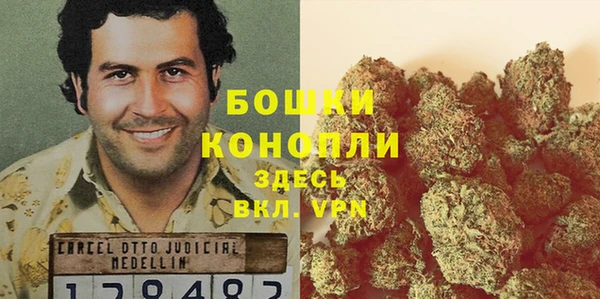 бошки Гусев