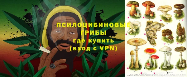 бошки Гусев