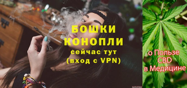 соль ск Гусиноозёрск