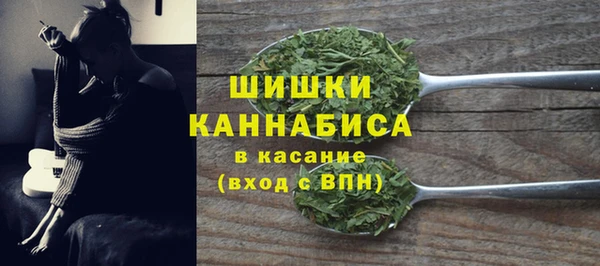 apvp Гусь-Хрустальный
