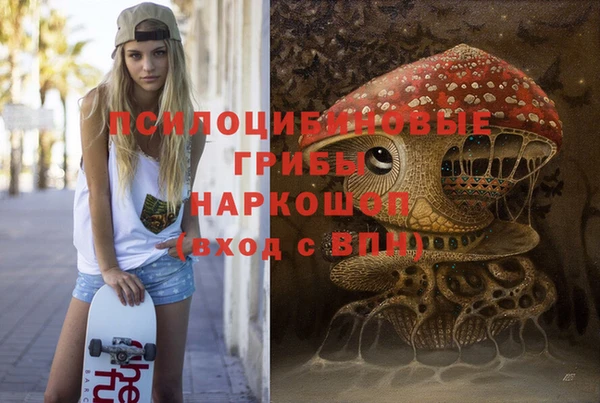 соль ск Гусиноозёрск