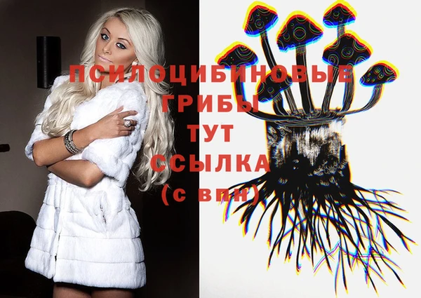 соль ск Гусиноозёрск
