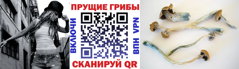 Псилоцибиновые грибы MAGIC MUSHROOMS  omg tor  Плёс 